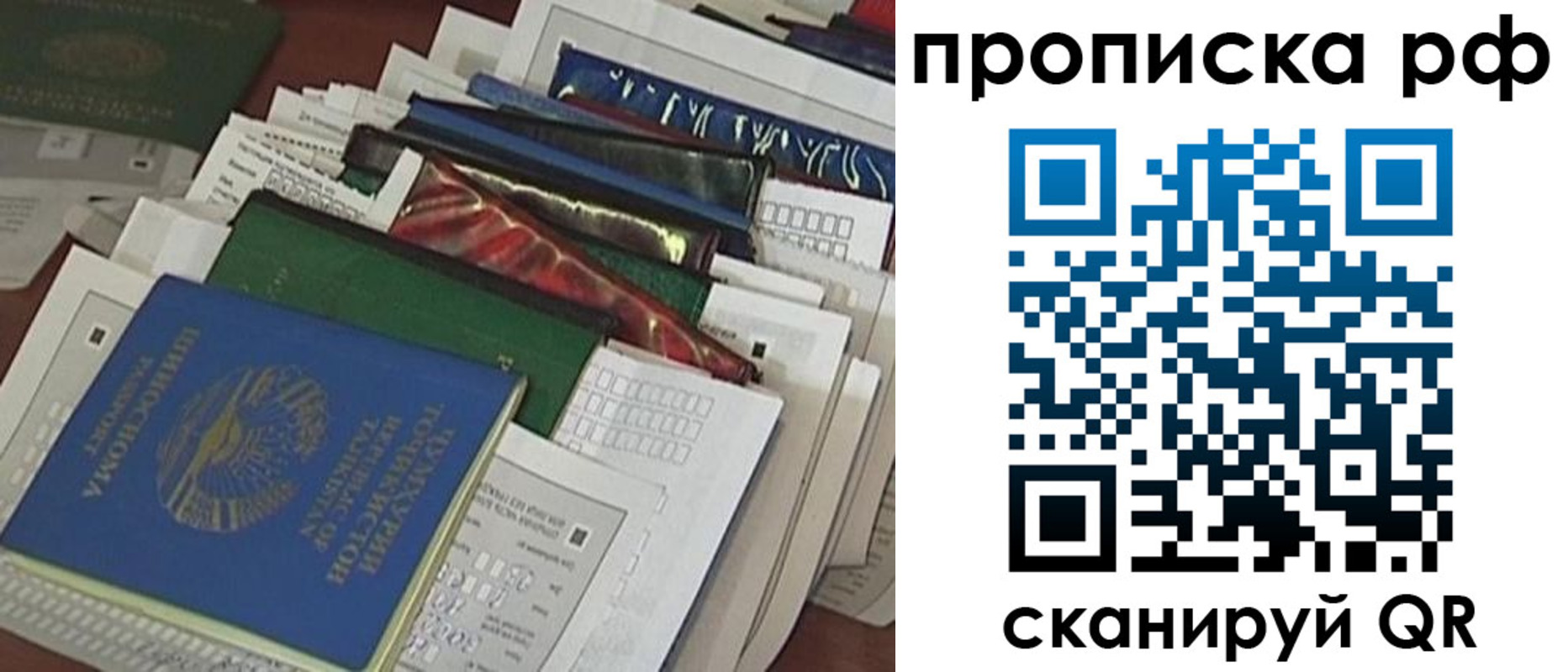 прописка в Ермолино